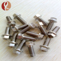 OEM high quality different size of titanium fastener